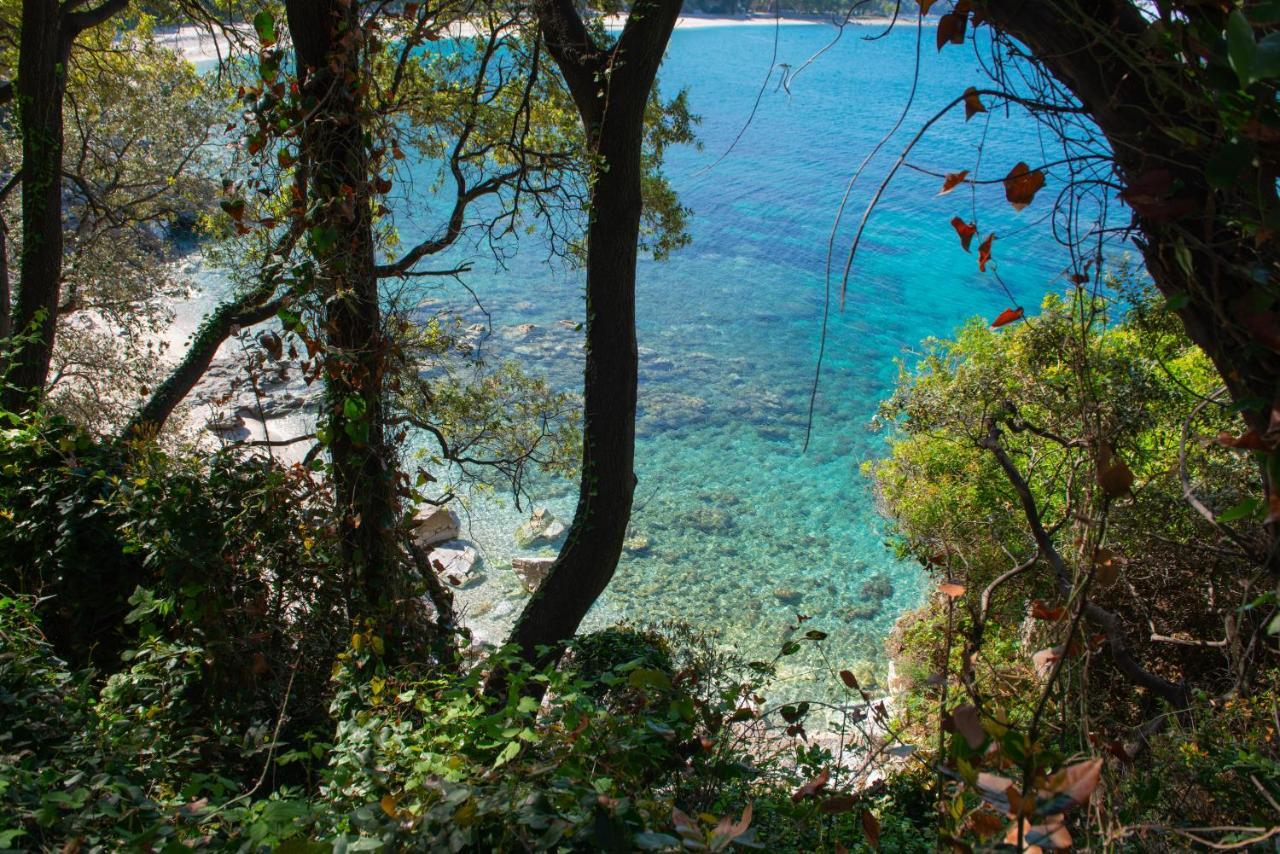 Pelion Bnb Luxury Homes Damouchari Bagian luar foto
